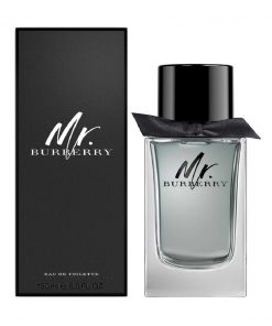 Mr. Burberry 100ml