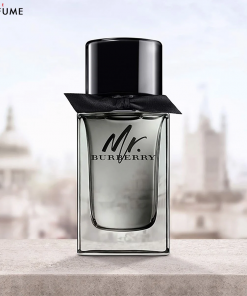 Mr. Burberry EDT 30ml