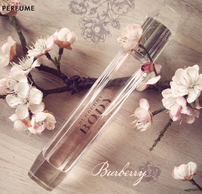 Nước hoa Burberry Body Tender